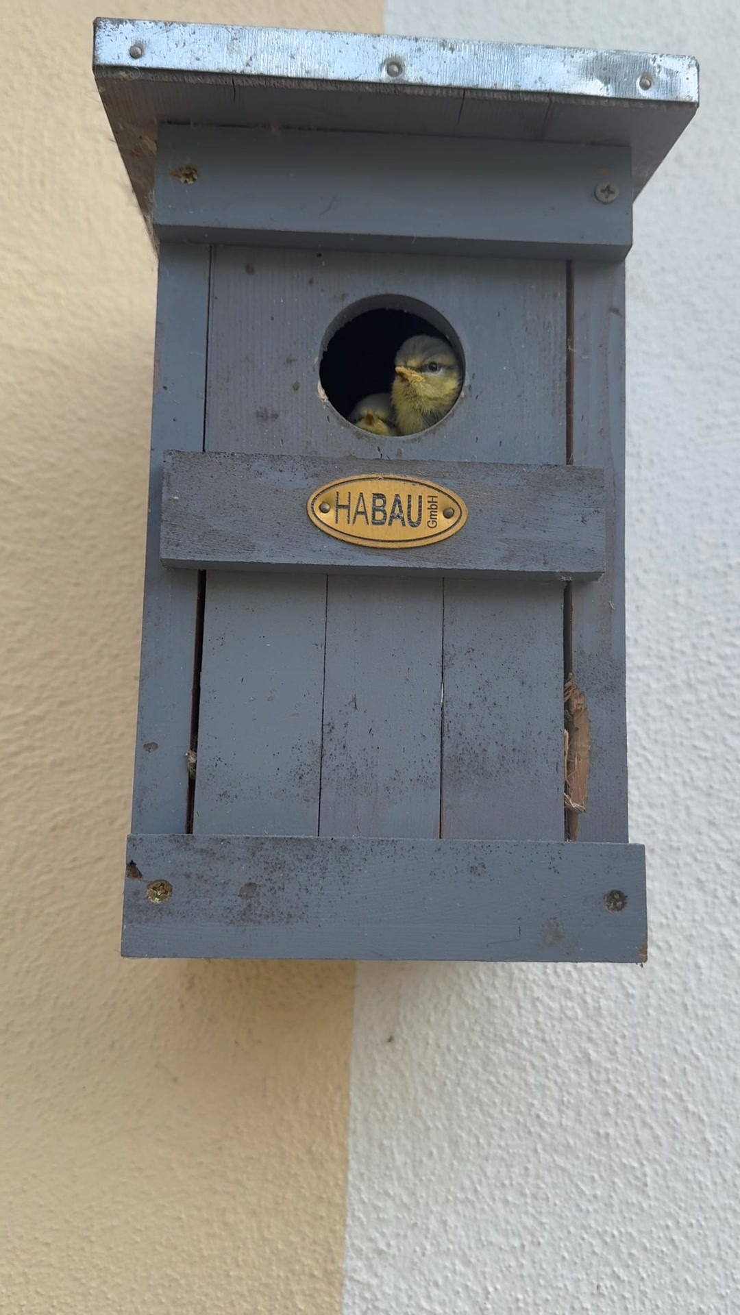 Golfanlage Zollmühle