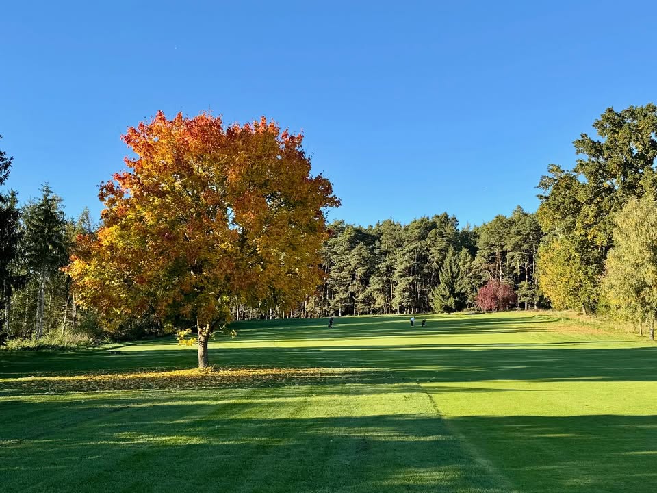 Golfanlage Zollmühle