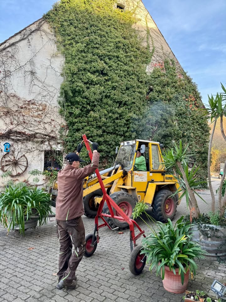 Golfanlage Zollmühle