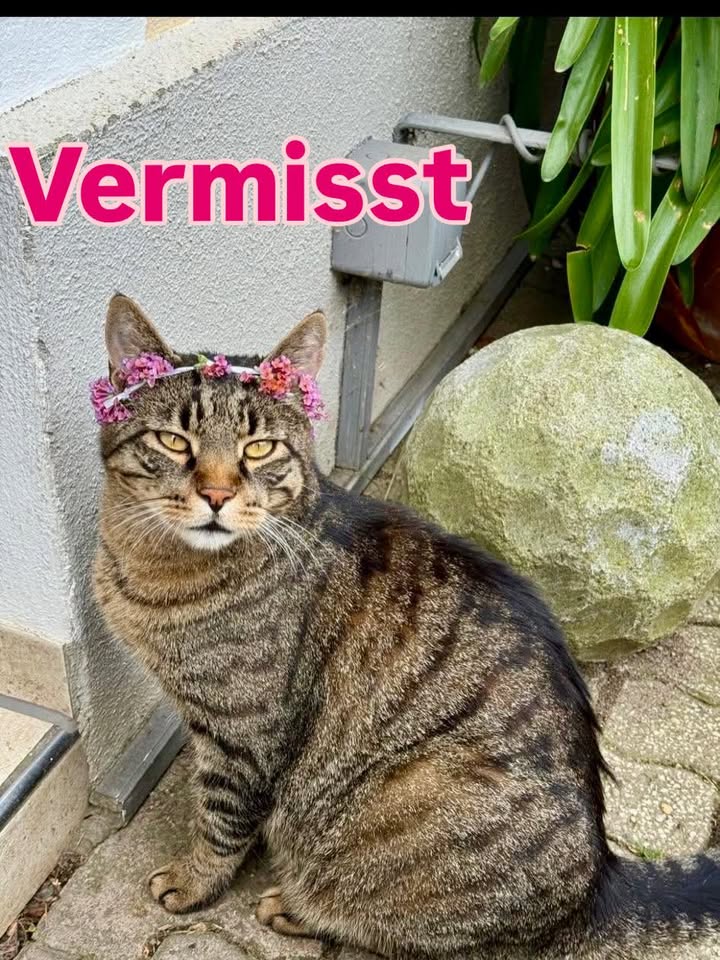 Golfanlage Zollmühle