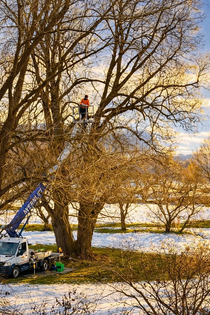 Golfanlage Zollmühle