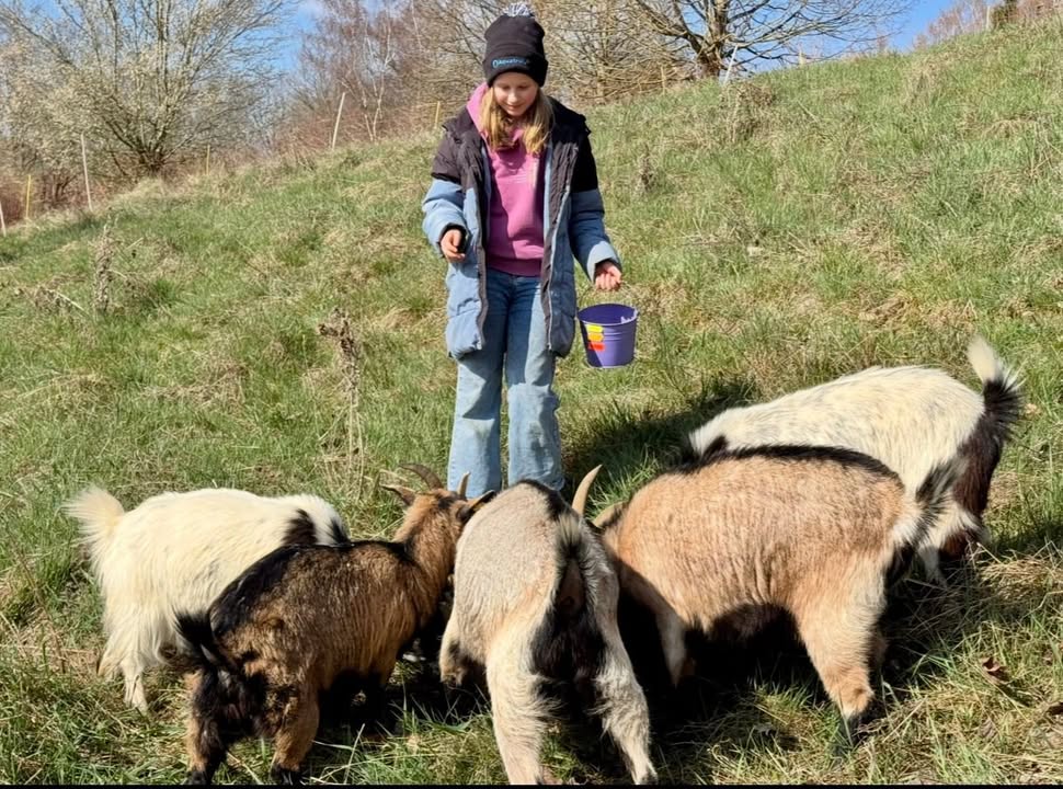 Golfanlage Zollmühle