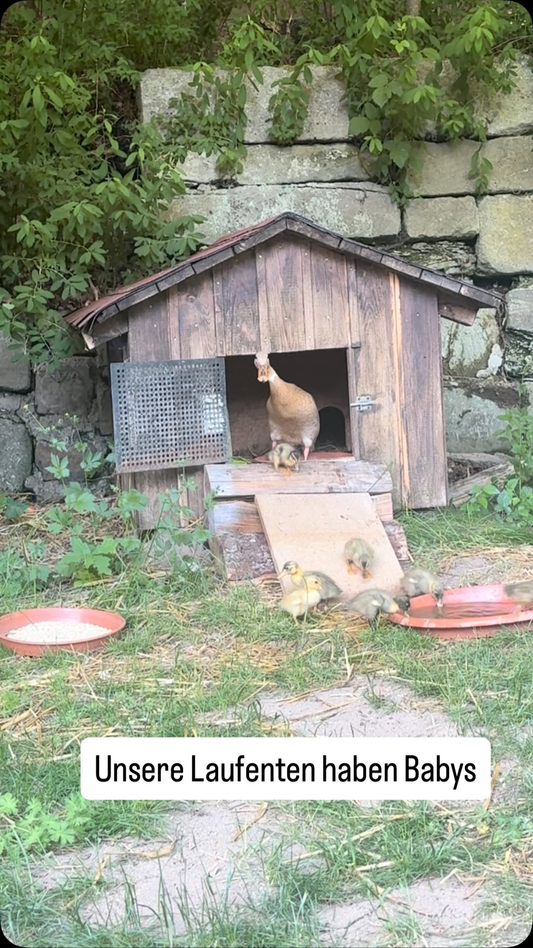 Golfanlage Zollmühle